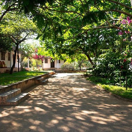 Tiruvannāmalai 高山假日旅馆酒店 外观 照片