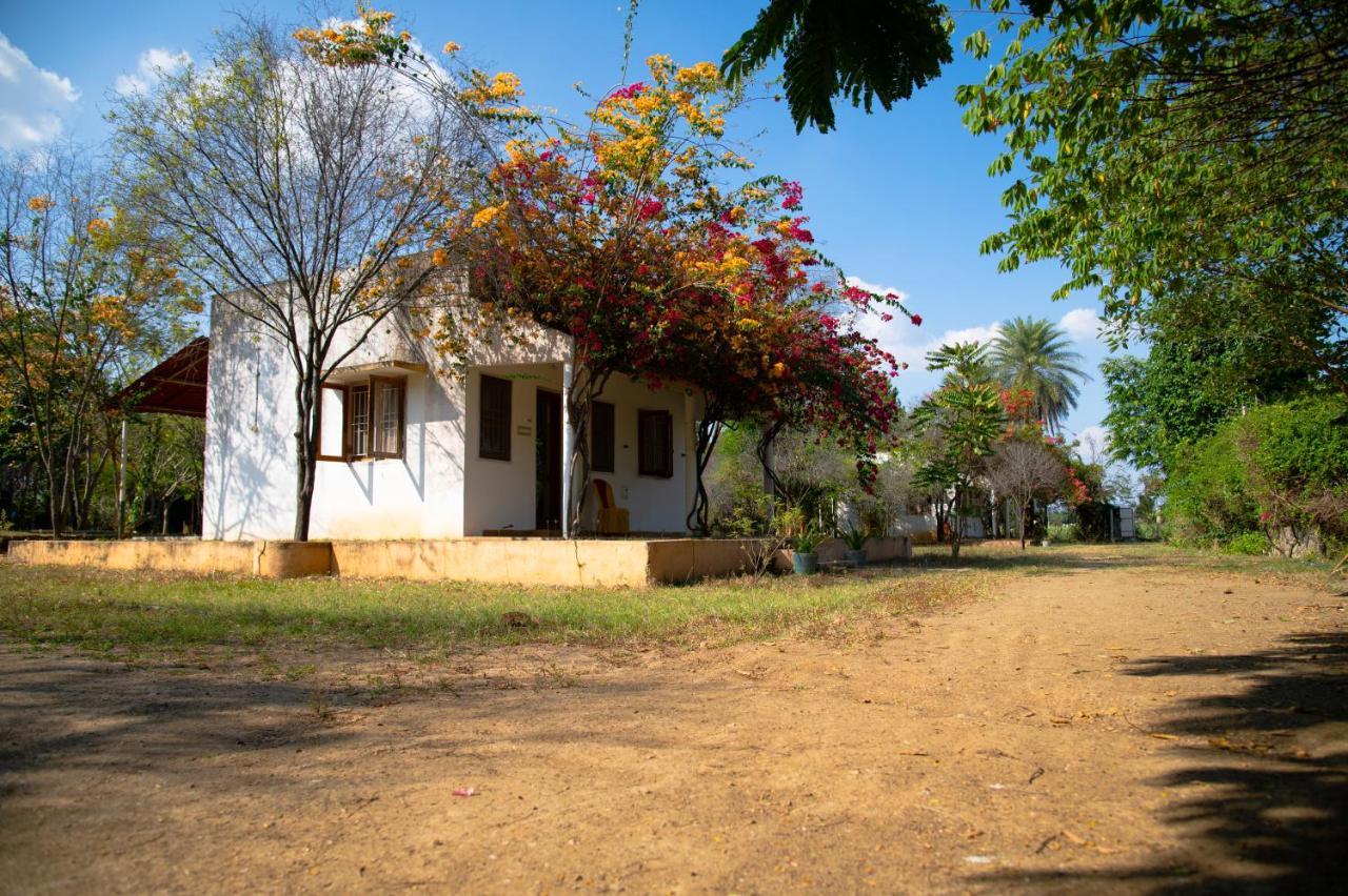 Tiruvannāmalai 高山假日旅馆酒店 外观 照片