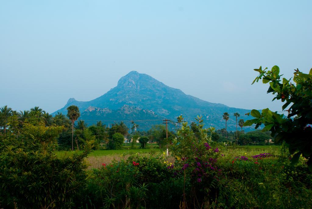 Tiruvannāmalai 高山假日旅馆酒店 外观 照片